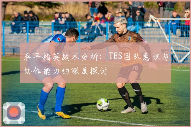 和平精英战术分析：TES团队意识与协作能力的深度探讨