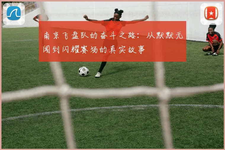 南京飞盘队的奋斗之路：从默默无闻到闪耀赛场的真实故事